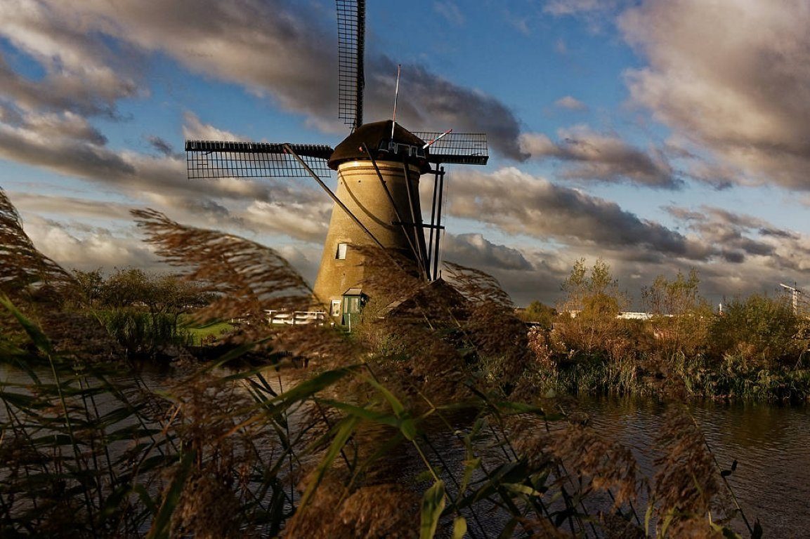 A windmill at dusk behind windblown reeds